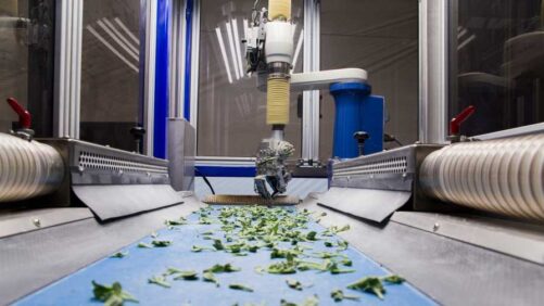 Four Trends Driving Greenhouse Technology and Automation