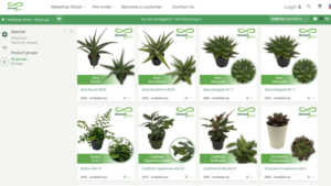 Deroose E-Commerce