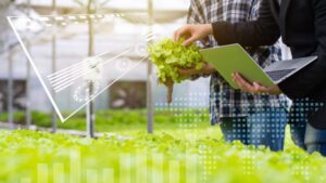 Sign Up Now for a Virtual Course on Greenhouse Climate Control Efficiency