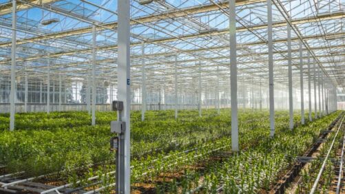 Four Greenhouse Risk and Insurance Trends to Know in 2023