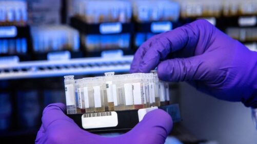 Why Nanobodies May Be a Game-Changing Plant Health Technology