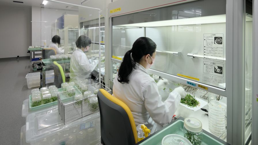 Suntory Flowers New Facility laboratory