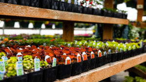 IPM Programs for Controlled Environment Agriculture