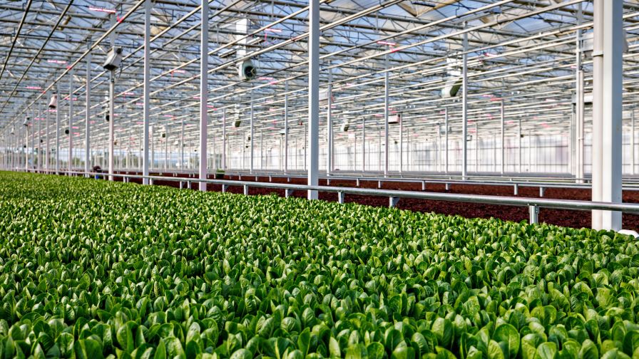 AppHarvest Berea Facility