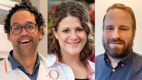 How Recent Changes at Dümmen Orange Will Accelerate the Introduction of Genetics