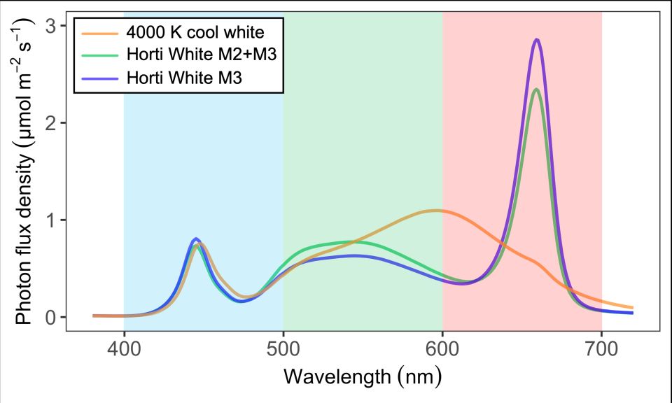 A Closer Look at the Effect of White LEDs on Plant Performance 
