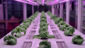 A Deep Dive Into Plant Lighting Control Systems
