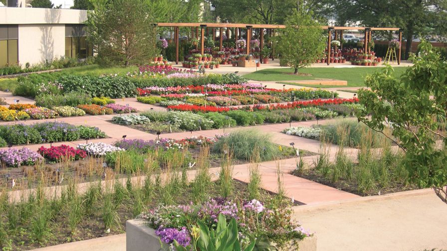 The Gardens at Ball 2022 Virtual Tour Ball Seed