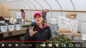 Video of the Week: How to Get Your Customers Excited for Spring