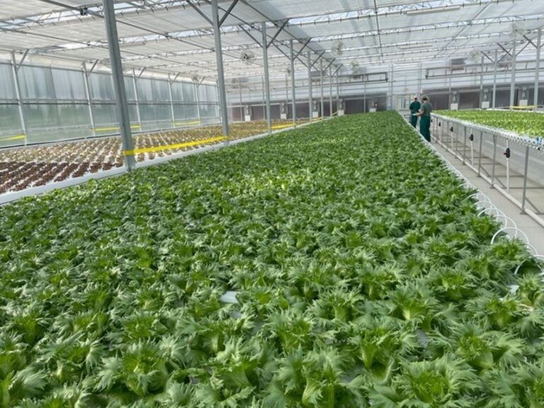 #7: Inexpensive (and Smart) Ways to Add Greenhouse Technology