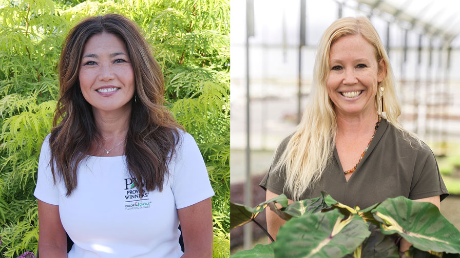Amy Howard, Heather Gronek