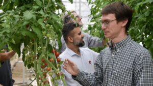 How a New Research Project Aims to Reimagine CEA With a More Sustainable Approach