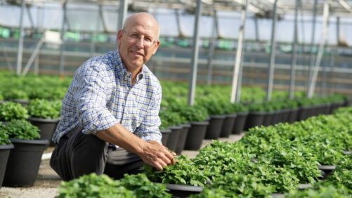 What’s the Market Outlook for Biosolutions in the Greenhouse Industry?