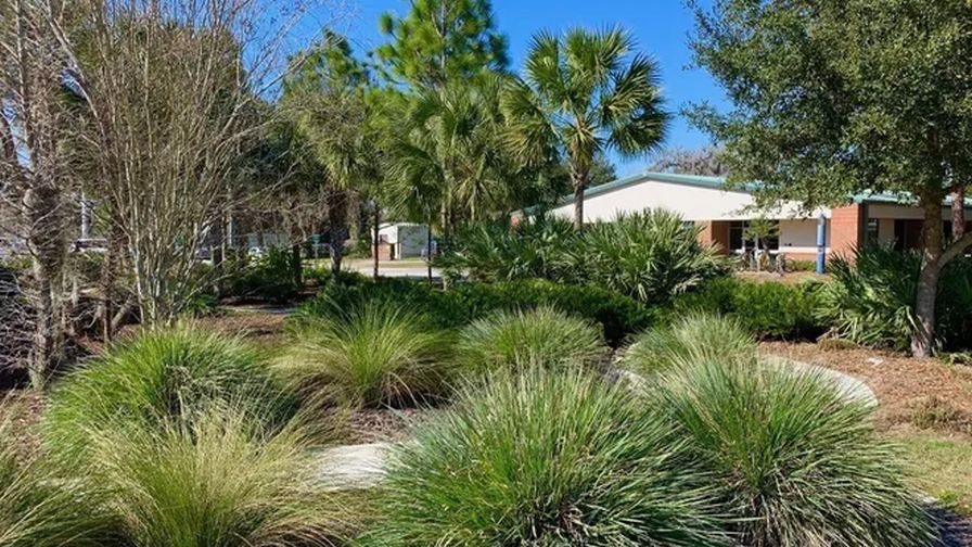 Florida Landscaping