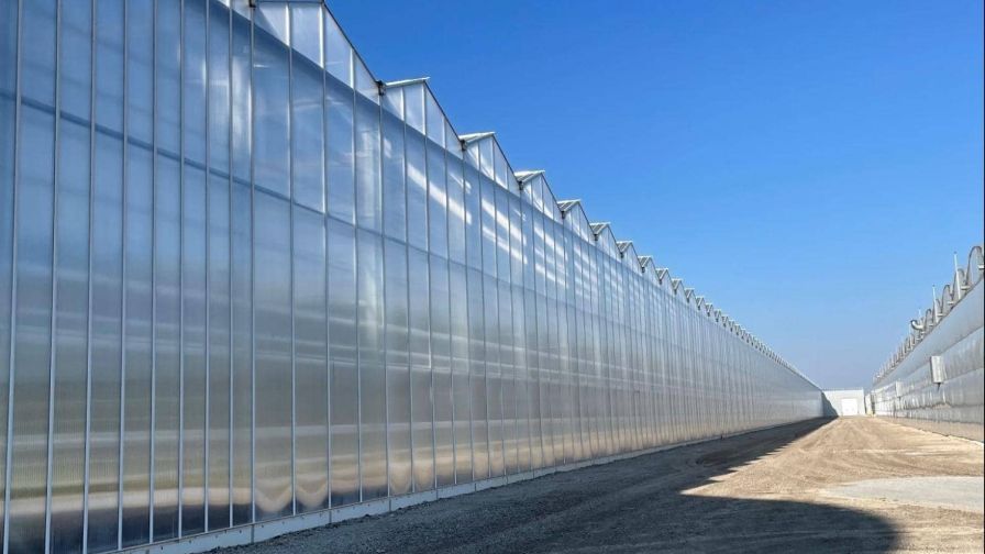 Prospiant Coverings RII