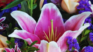 How You Can Support American Floral Endowment’s Friends of Floral Program