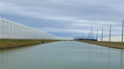 A New Approach to Cooling Greenhouse Irrigation Water
