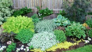 Help the Perennial Plant Association Recognize Industry Leadership