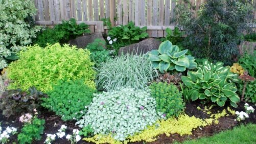 Help the Perennial Plant Association Recognize Industry Leadership