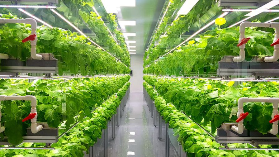 Ceres Vertical Farming