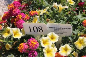 Combo Inspiration #20 (Ball FloraPlant)