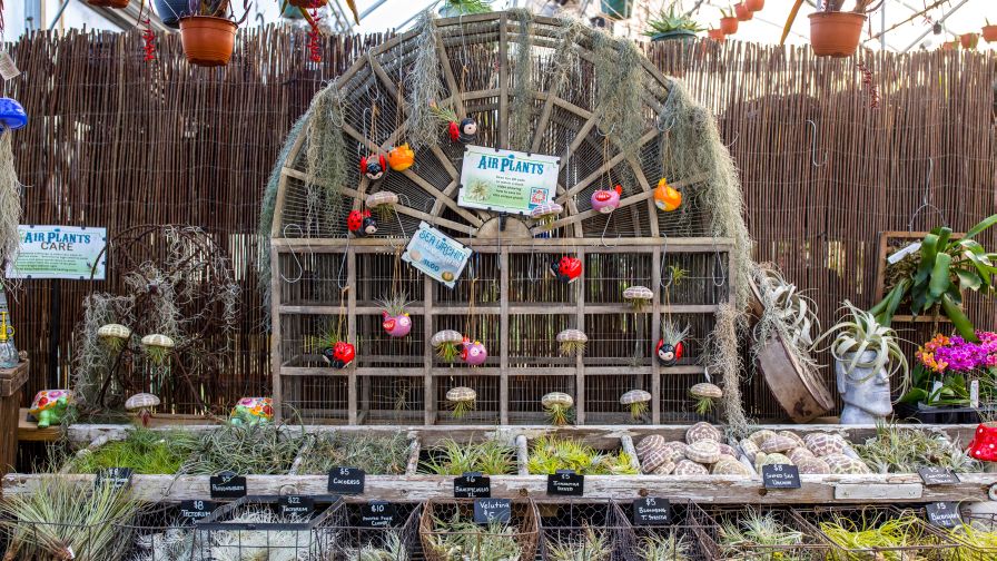 Groovy Plants Ranch Retail Display