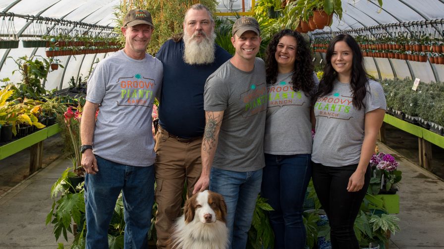 Groovy Plants Ranch Team