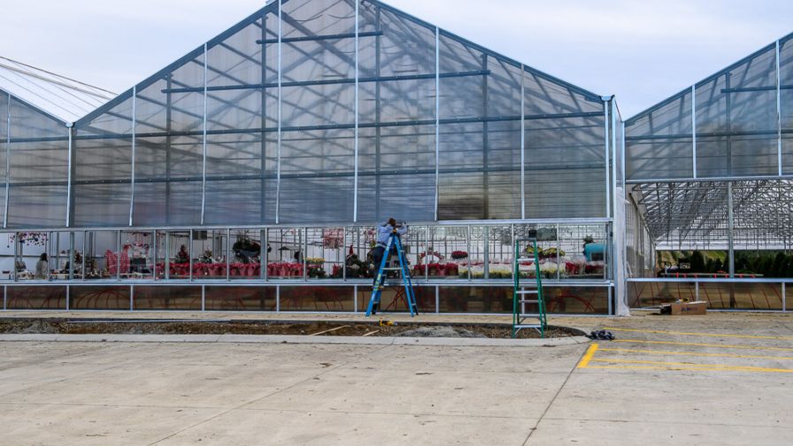 LLKlink Spring Greenhouse Maintenance