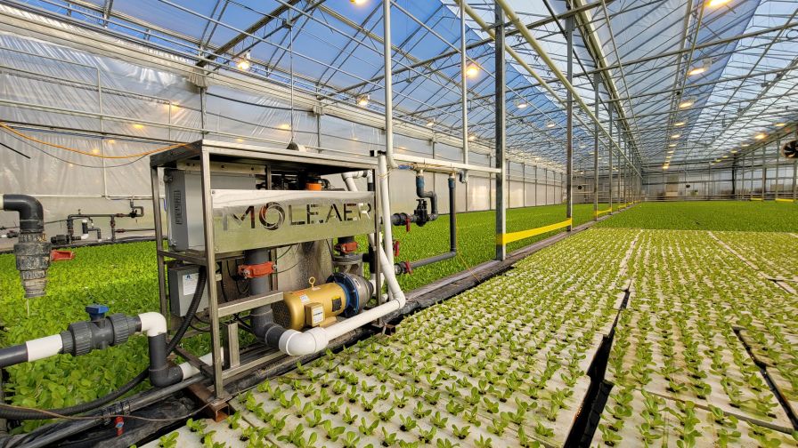 Moleaer Hydro Installation plant nutrition