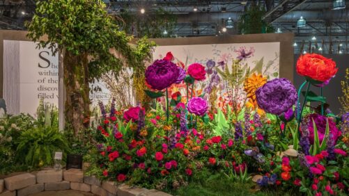 Big Winners From the 2023 Philadelphia Flower Show