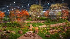 Big Winners From the 2023 Philadelphia Flower Show