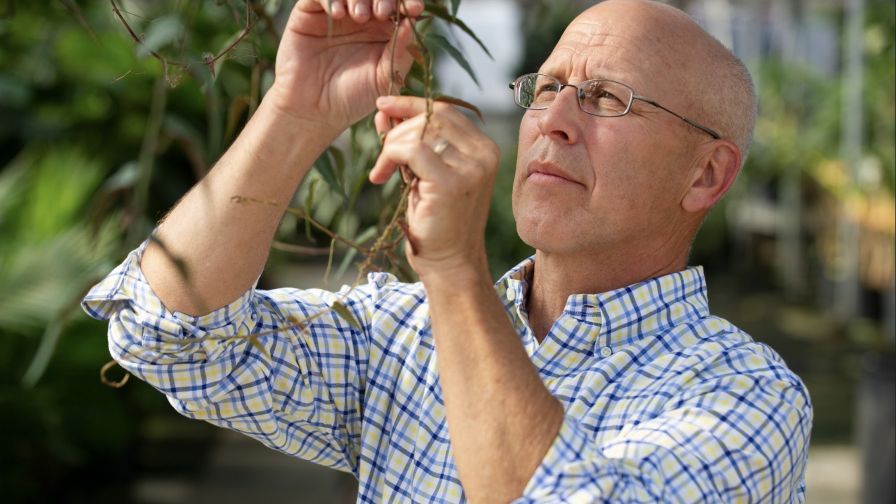 Scouting Certis Biosolutions using biocontrols