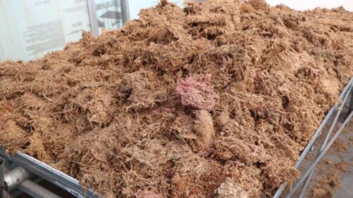 Growing Media Companies on Research and Partnerships to Invest in Grower Needs