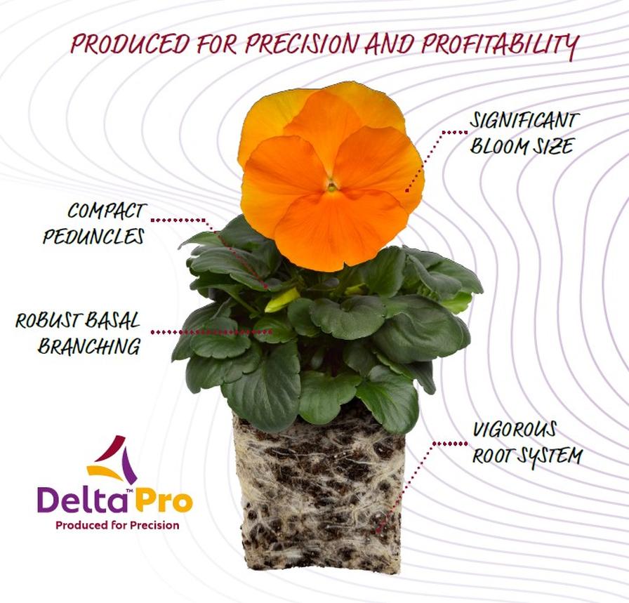 Delta Pro Series spec sheet