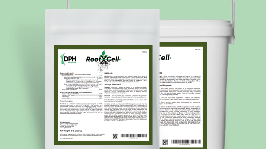DPH Bio RootXCell Web