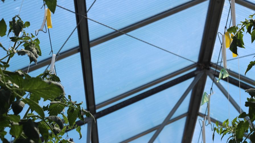 Six Greenhouse HVAC Trends to Watch in 2023