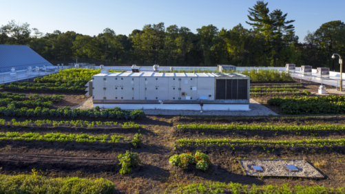 Why Rooftops May Be the Next Big Thing in Controlled Environment Agriculture