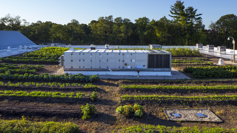 Rooftop Greenhouse
