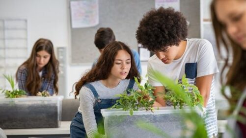 How Green Career Week Helped Build a Budding Industry Workforce