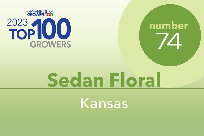 #74: Sedan Floral, KS