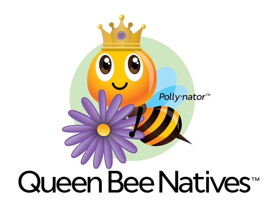 Perennial Farm Queen Bee Natives