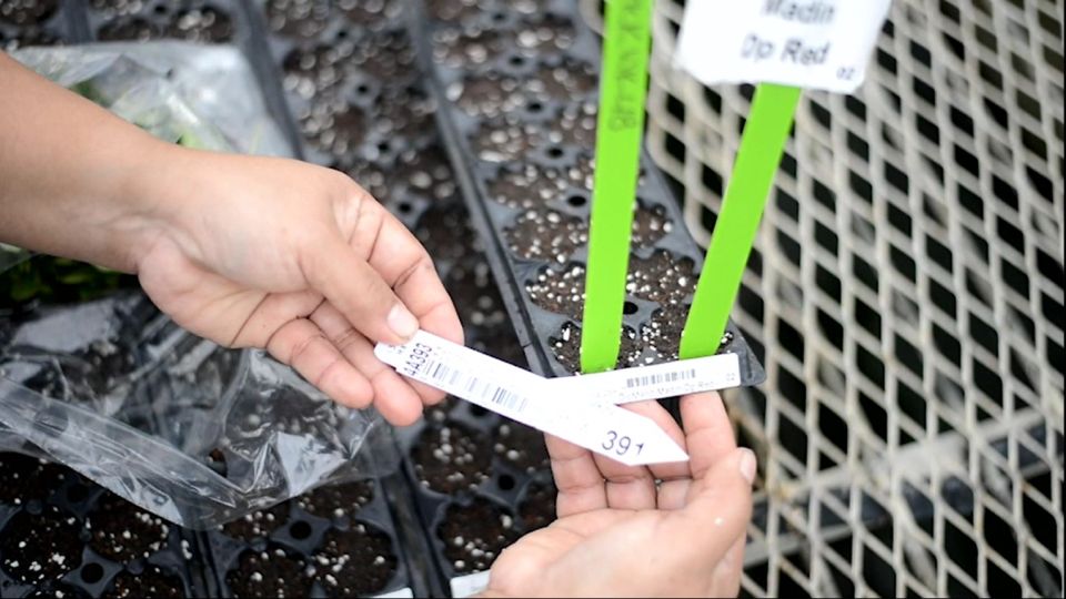 Plantpeddler Tracking w Farm Tags
