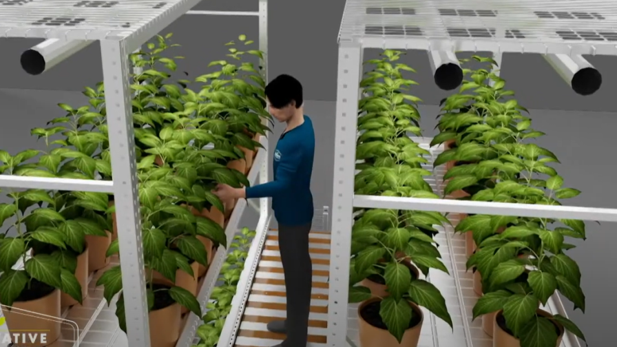 Hydrofarm Innovative Growers Equipment