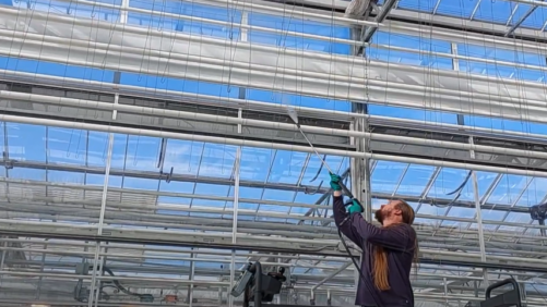 Cleaning Out Your Greenhouse Today Can Save You Headaches Tomorrow