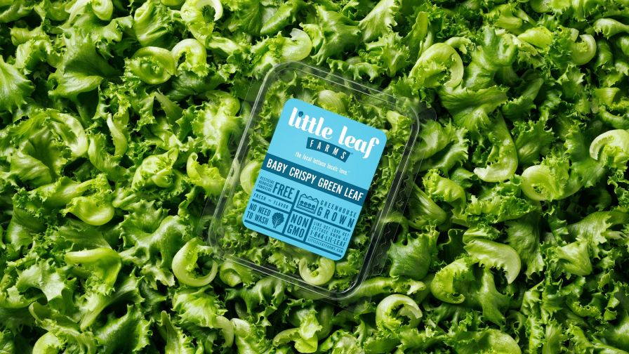 Little Leaf Farms Curved Lettuce Trademark