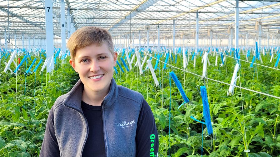 Abby Lange, Village Farms
