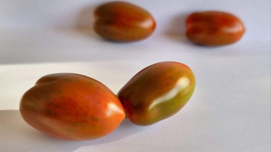 Kelman Breedx Tomatoes
