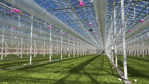 Wanna Know the State of Controlled Environment Agriculture? Get an Inside Look