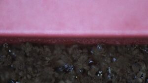 A New Strategy for Preventing Mold Development on Greenhouse Plastics