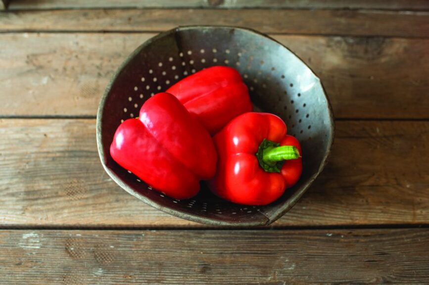 Pepper 'Olly' (Johnny's Selected Seeds)